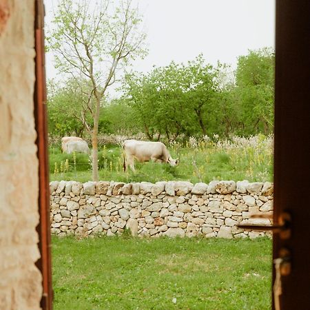 Villa Tenuta Tedone Consolini à Ruvo di Puglia Extérieur photo