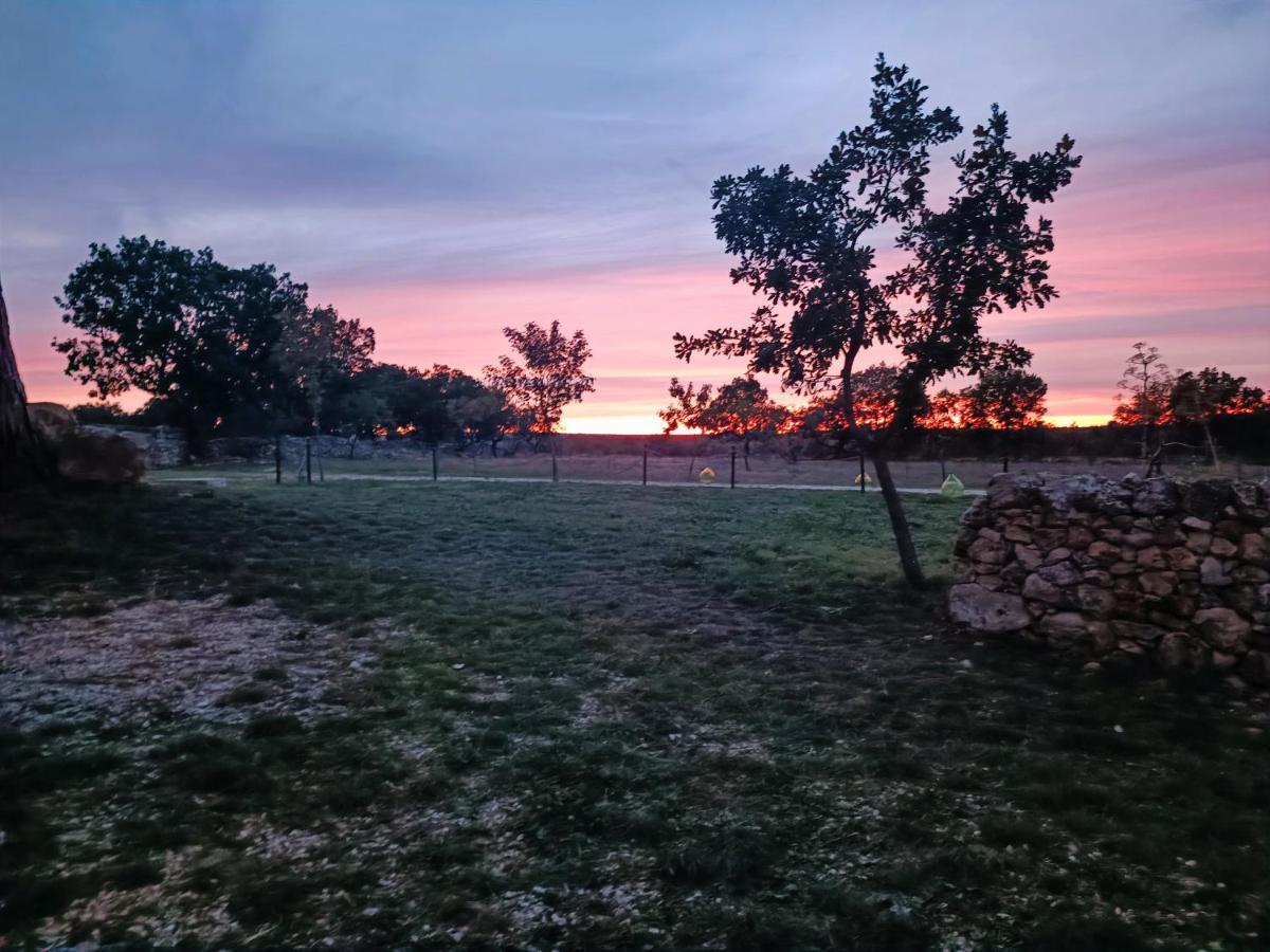 Villa Tenuta Tedone Consolini à Ruvo di Puglia Extérieur photo
