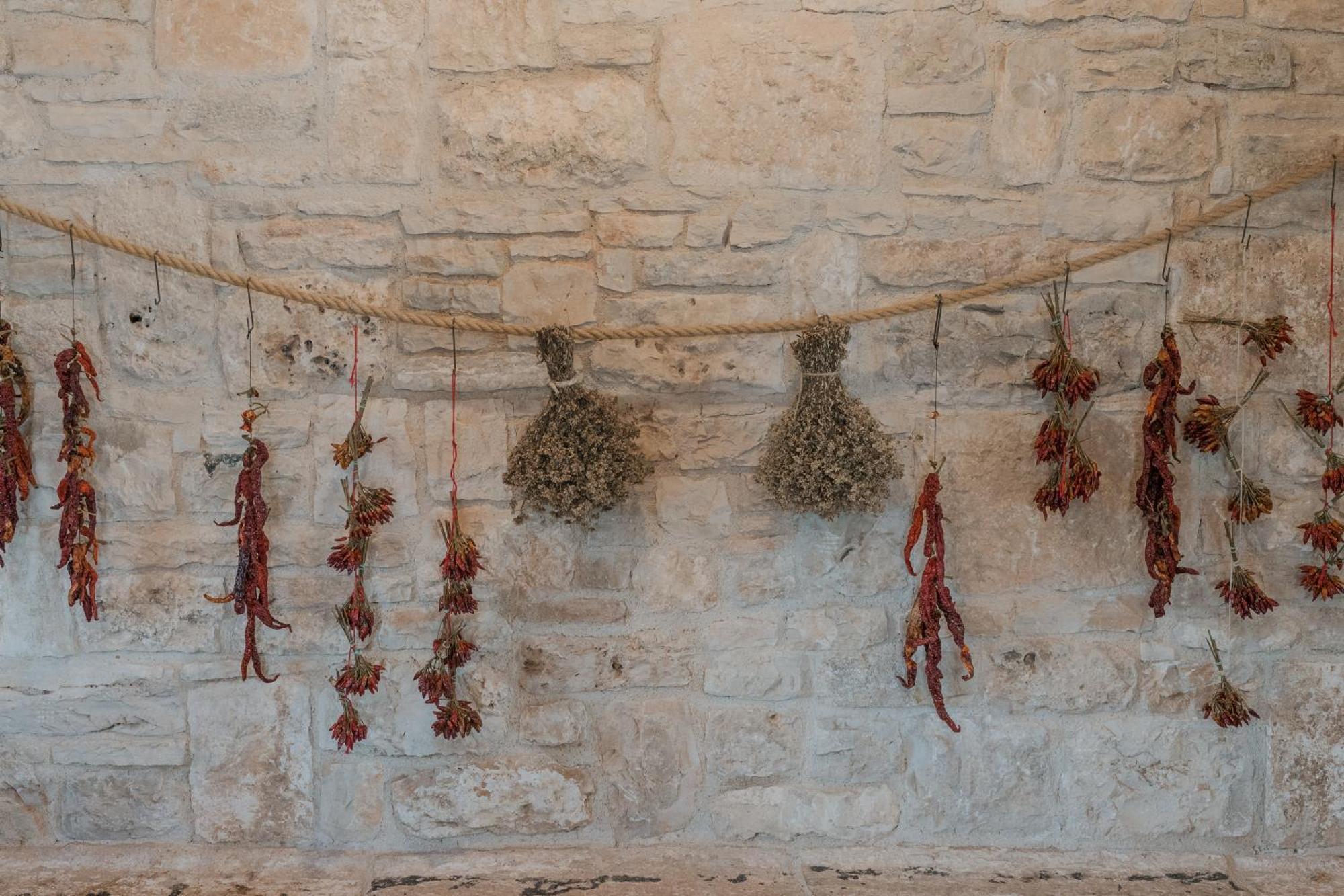 Villa Tenuta Tedone Consolini à Ruvo di Puglia Extérieur photo
