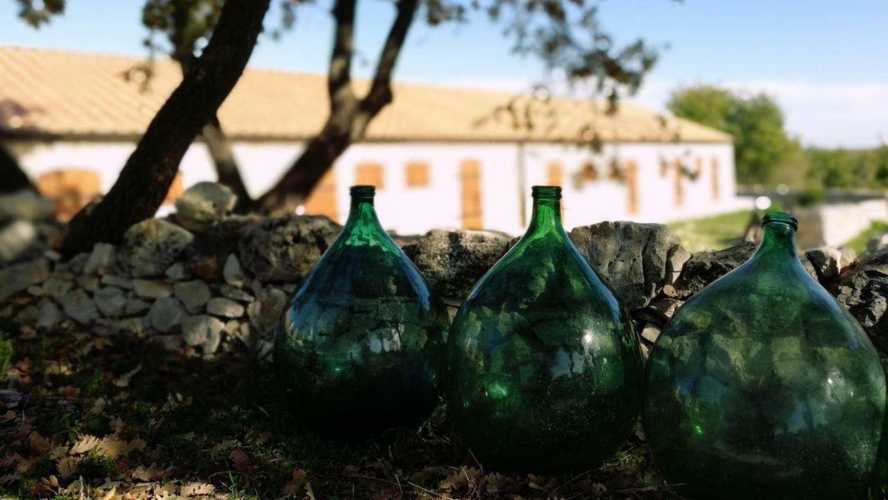 Villa Tenuta Tedone Consolini à Ruvo di Puglia Extérieur photo