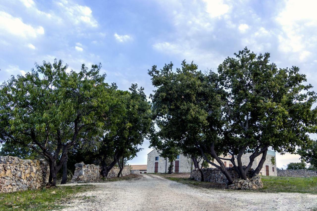 Villa Tenuta Tedone Consolini à Ruvo di Puglia Extérieur photo