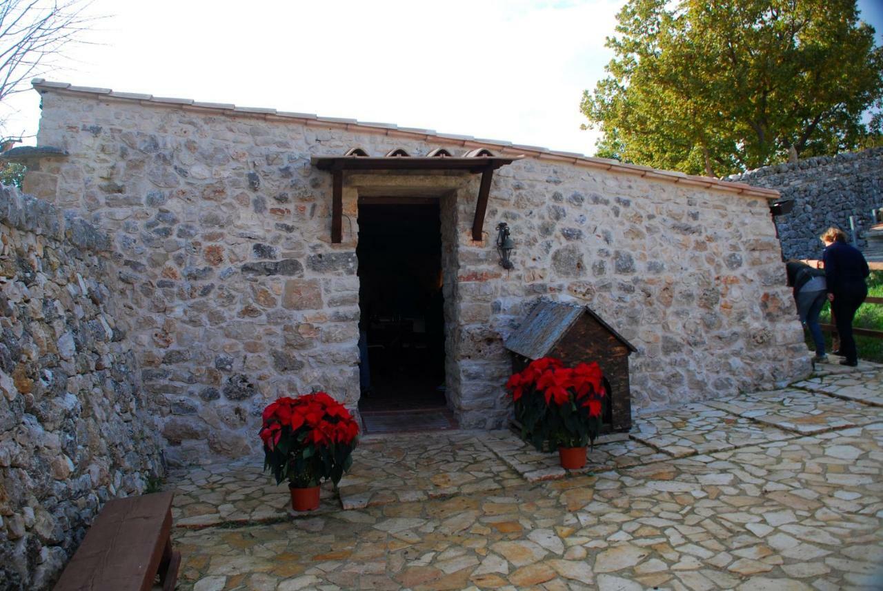 Villa Tenuta Tedone Consolini à Ruvo di Puglia Extérieur photo