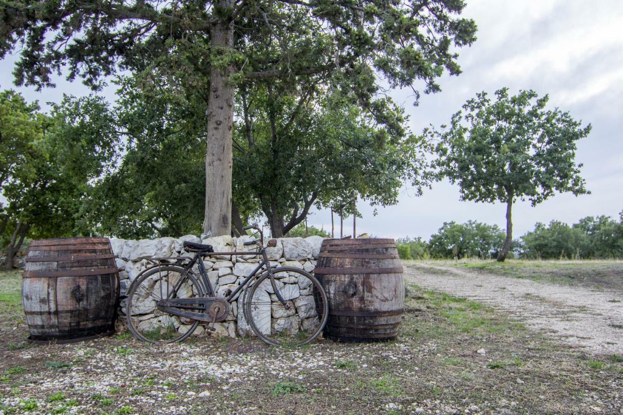 Villa Tenuta Tedone Consolini à Ruvo di Puglia Extérieur photo
