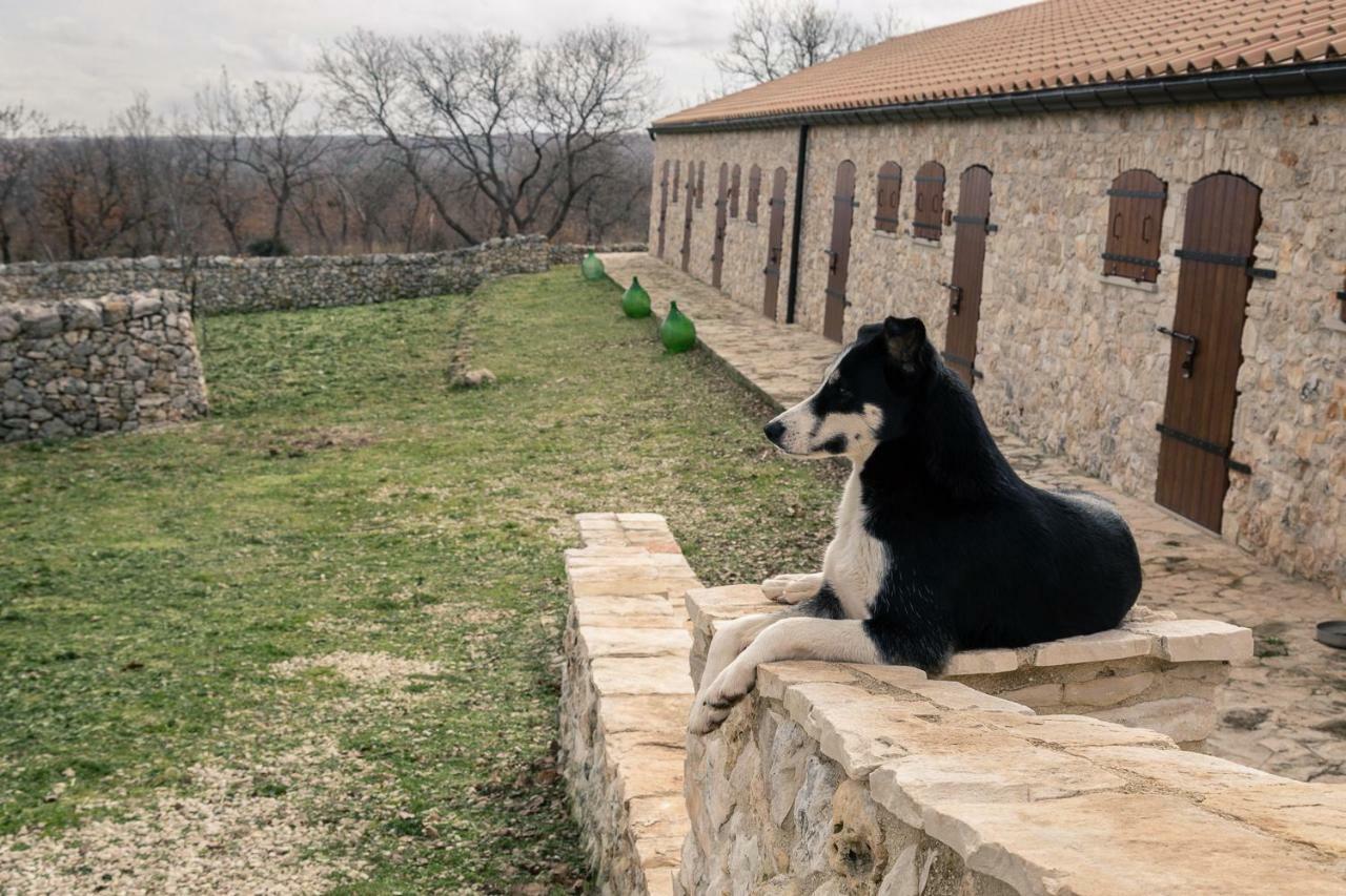Villa Tenuta Tedone Consolini à Ruvo di Puglia Extérieur photo