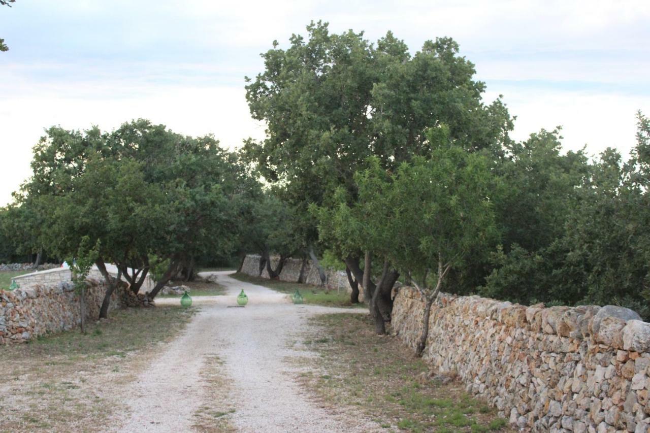 Villa Tenuta Tedone Consolini à Ruvo di Puglia Extérieur photo