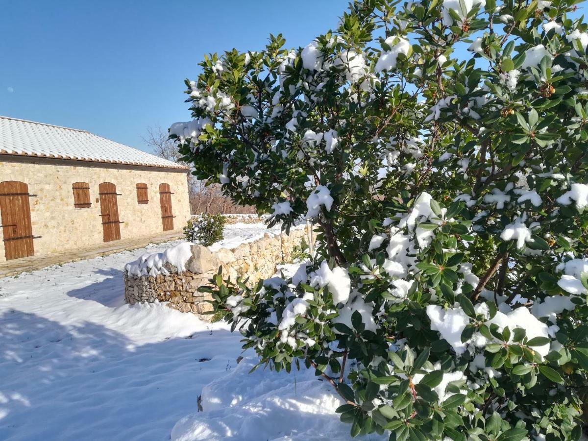 Villa Tenuta Tedone Consolini à Ruvo di Puglia Extérieur photo