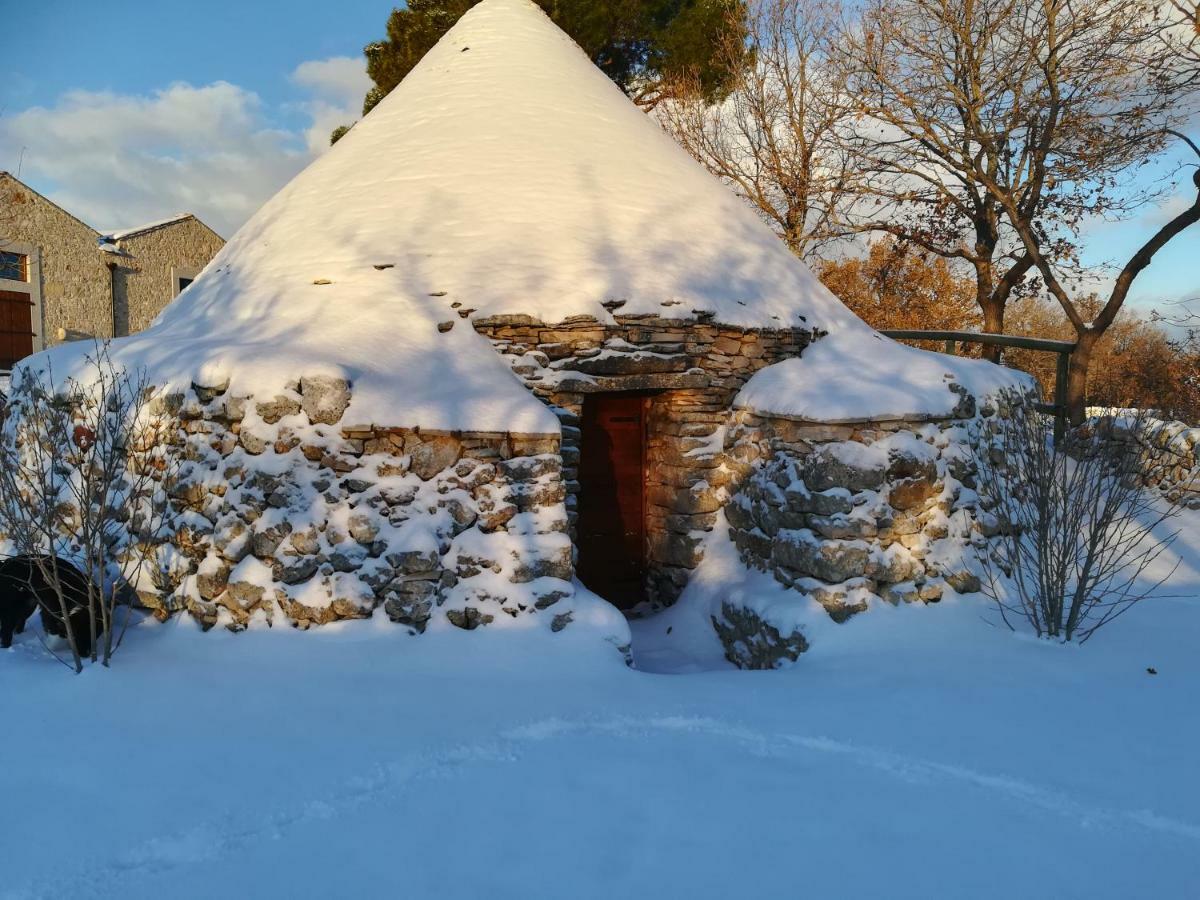 Villa Tenuta Tedone Consolini à Ruvo di Puglia Extérieur photo